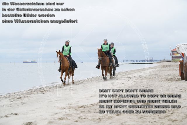 s_K3F04870.JPG